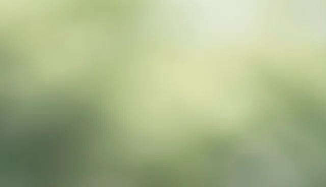 品牌推广中活动策划的适用情况与限制